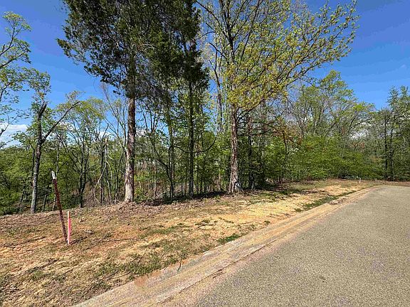 3rd image of 31 Endless View Rdg Lot 31