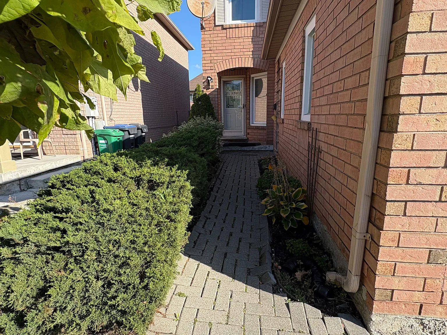 3 bed, $3,500 — Photo 2