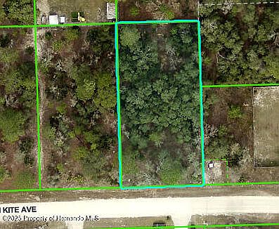 2nd image of 0 Mississippi Kite Ave