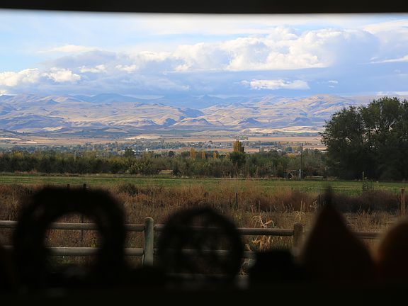 View out kitchen window