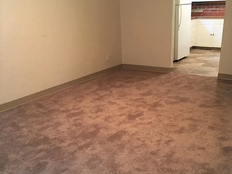 518 Wyoming Ave — Photo 3