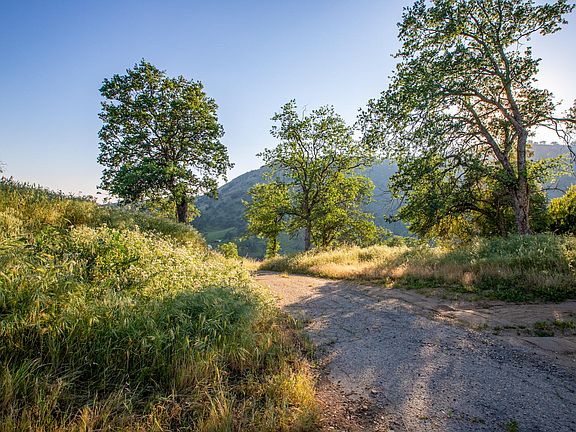 4th image of 35032 George Smith Road