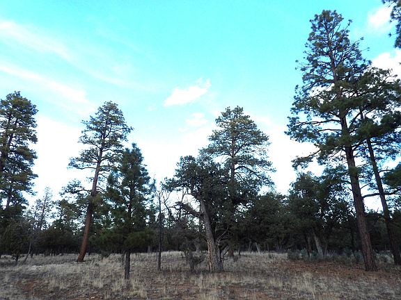 4th image of 2941 Eagle Ridge Cir