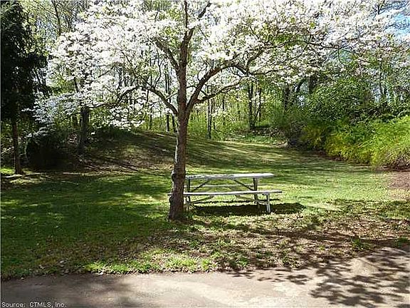Back yard+1/2 half acre 