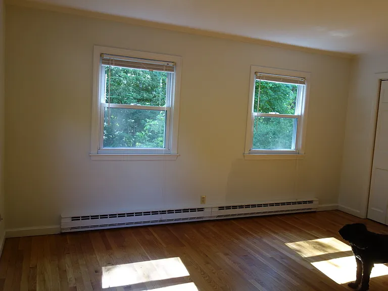 3 Willow Spring Cir #3 — Photo 4