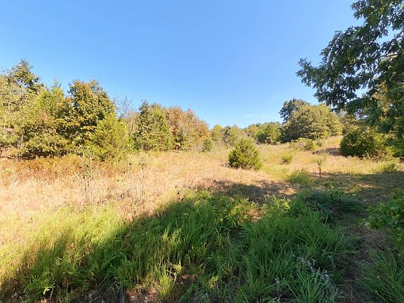 5th image of Honeytree Ln