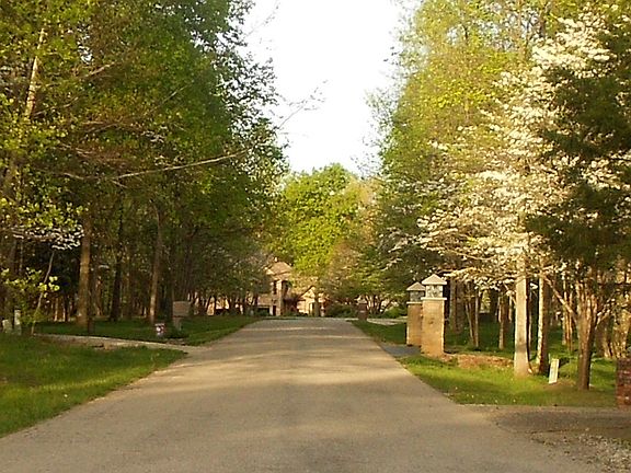 Neighborhood Drive
