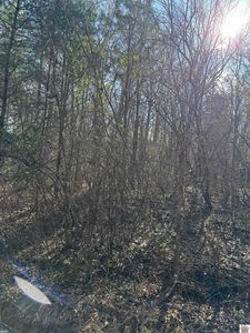 0 Mazurek Cir, Murray, KY, 42071