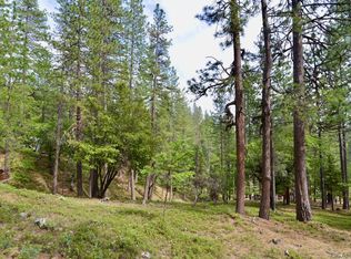 1630 Tamarack Dr, Arnold, CA 95223