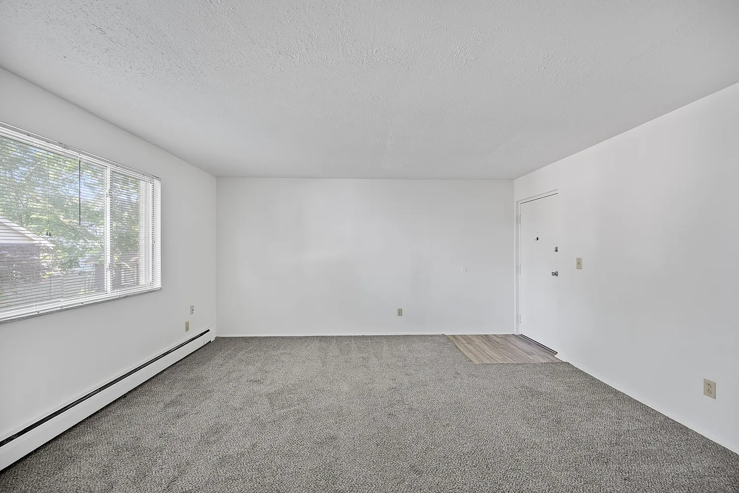 1 bed, $1,145 — Photo 4