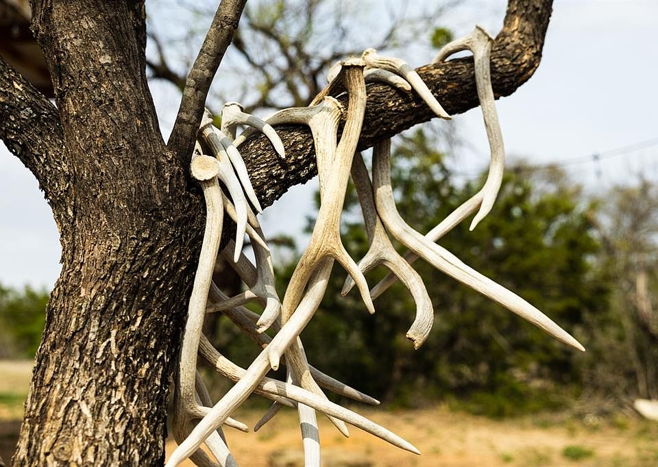 2050 W 17th St, Brady, TX 76825 MLS 55821193 Zillow