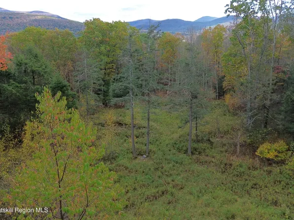 0 North Ridge Extension, Windham, NY 12496