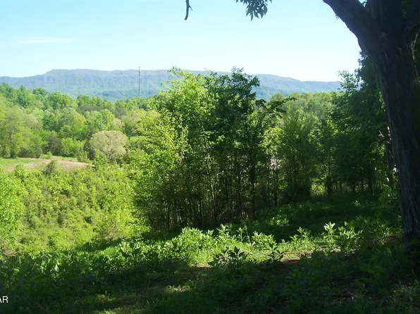 TRACT 1 Chapman Hwy, Seymour, TN 37865