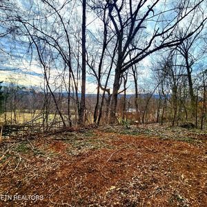4801 Mint Rd, Maryville, TN, 37803