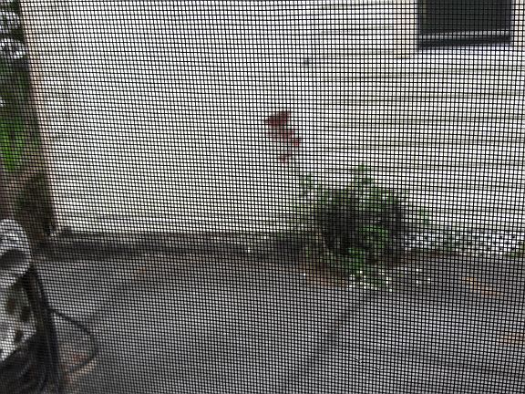 outdoor storage shed