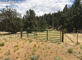 3632 Clear Creek Rd, Hartsel, CO 80449