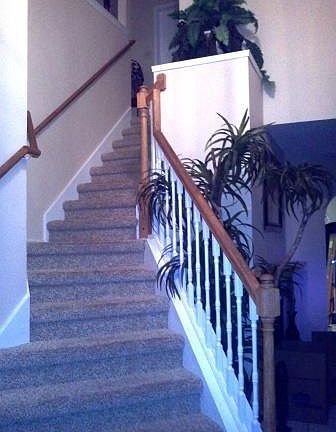2nd image of 859 Windy Meadow Dr