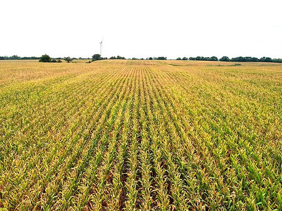 5th image of 0 Iowa Hwy #5