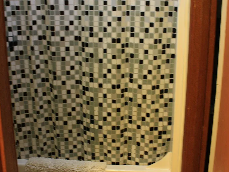 Shower and tub.
