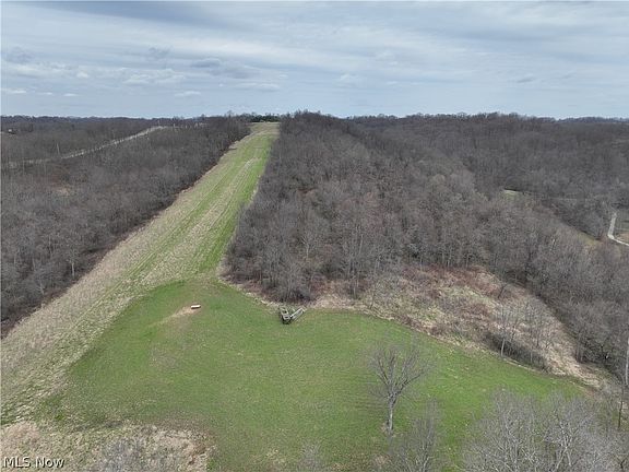 4th image of 39000 Lees Run Rd