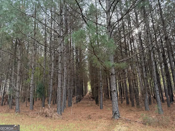 0 Center Hill School Rd NW, Crawfordville, GA 30631
