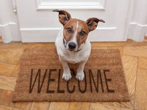 Pets Welcome