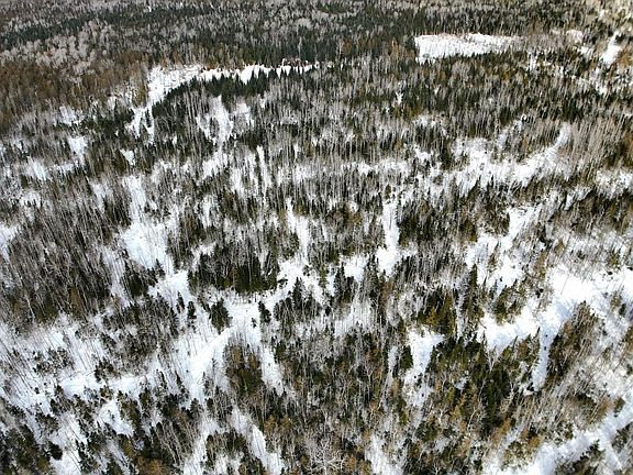 5th image of M2L51 Quimby Road