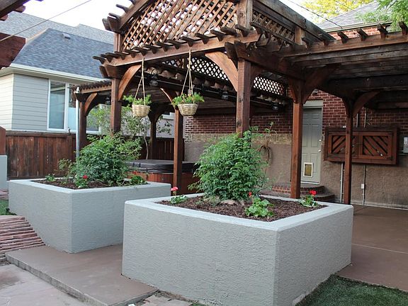 Back yard