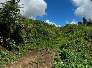 Toita S, Cayey, PR 00736