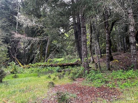 3rd image of 24403 Cypress Drive