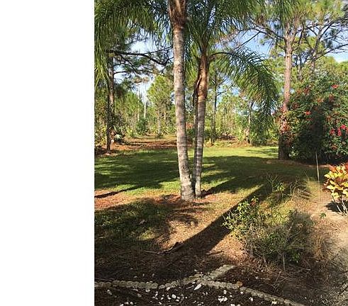 4th image of 8657 Evergreen Ln