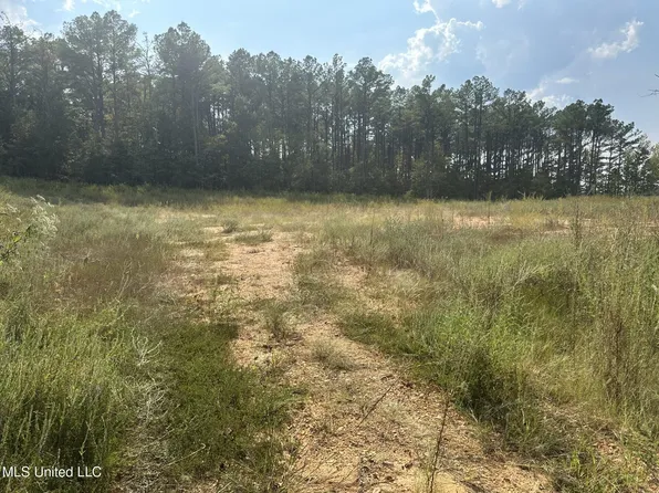 10901 Byhalia Rd Lot 2, Olive Branch, MS 38654