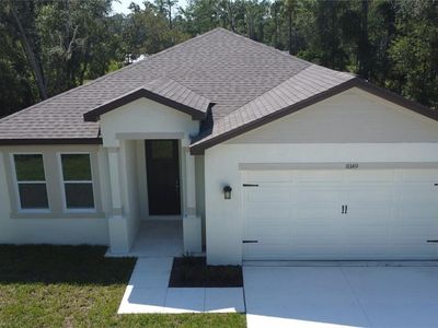 8149 Cashew Dr, Webster, FL, 33597