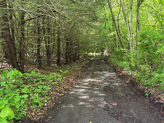 3rd image of Davis Road