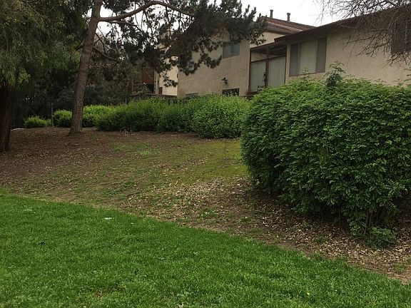 Back of Units from Park