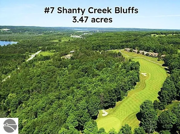 7 Creek Hill Dr, Bellaire, MI 49615