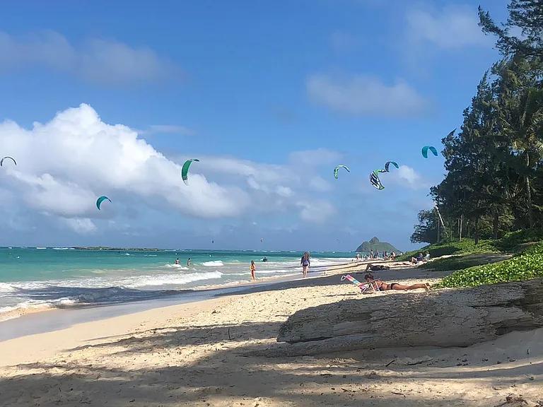 Kite surfers on the bay