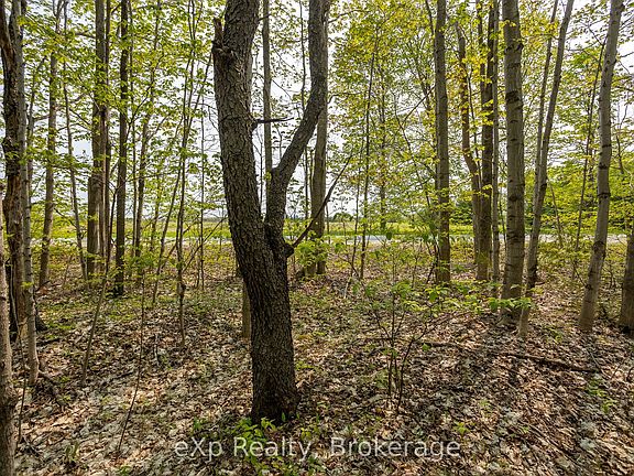 2nd image of Connell Lake Rd Lot 20