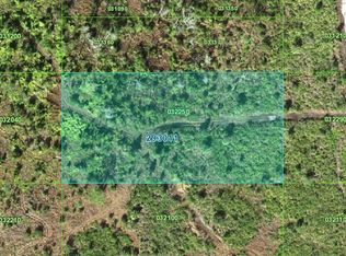 PARCEL Id 11 0 32250 #29-30, Lake Wales, FL 33898