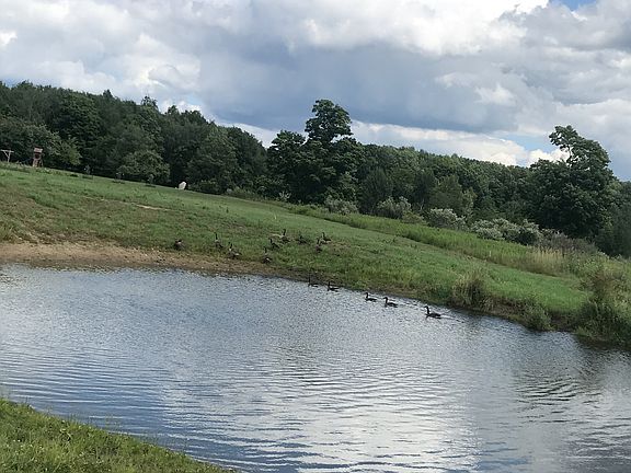 Front pond