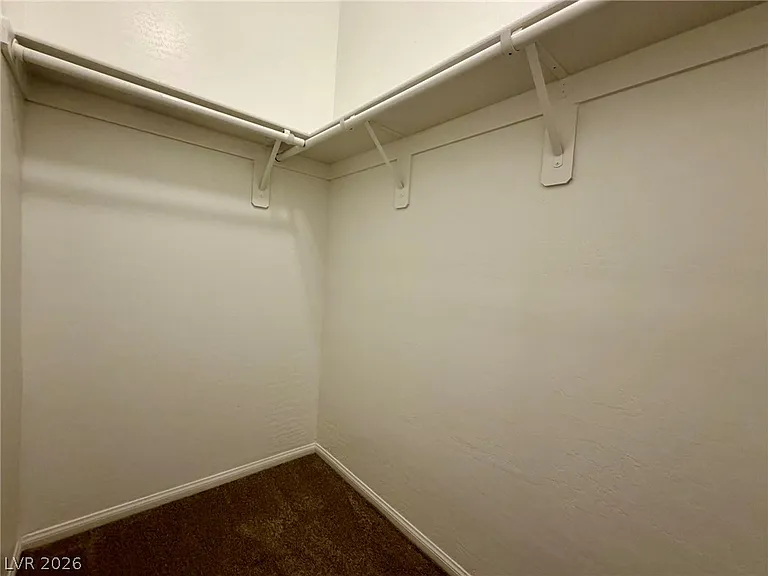 6979 Painted Vista Ct — Photo 43