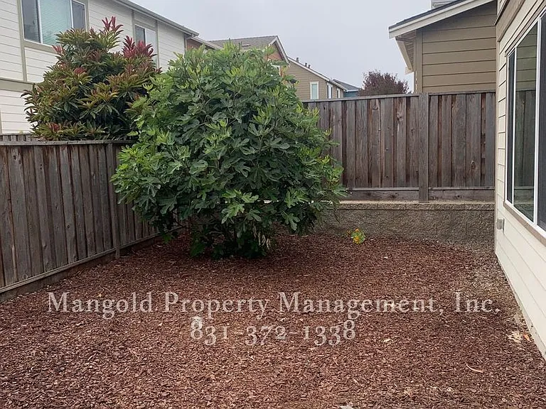 2726 Bungalow Dr — Photo 21