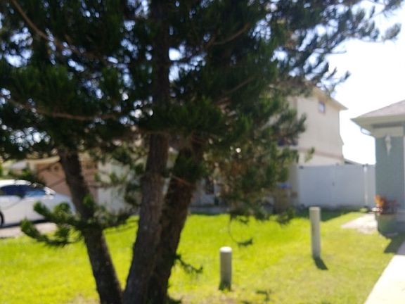 5th image of 322 Plumwood Cir