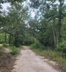 0 Coot Adams Rd, Ashford, AL, 36312