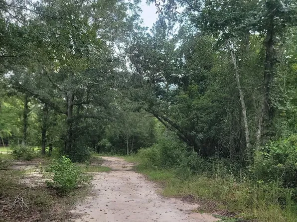 0 Coot Adams Rd, Ashford, AL 36312