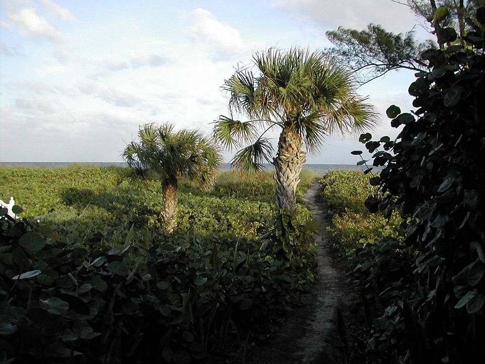 Beach Access