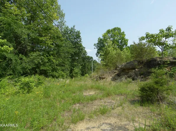 5AC Livingston Hwy, Celina, TN 38551