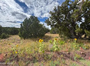 33 County Road 8230, Concho, AZ 85924