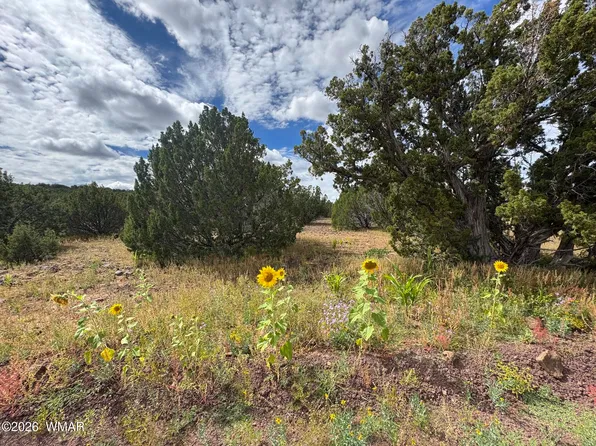33 County Road 8230, Concho, AZ 85924