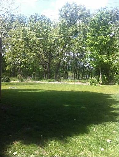 view from back yard